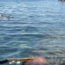 나리촌식당 이미지