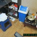 돼지우리 이미지