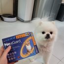 봄봄온누리약국 이미지