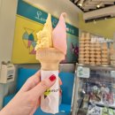 첼로 (B) | [마카오 여행] 레몬첼로 _미슐랭 젤라또 맛집