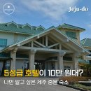 오성도서관 | 제주 스위트호텔 패밀리디럭스 후기｜중문 가성비 5성급 숙소