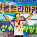 남해-100 이미지