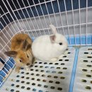 매산리 538 이미지