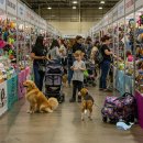 성우씨엔티 주식회사 이미지