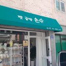 펫공방손수