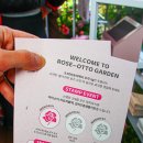 로즈가든 | 1월 2월 성수 팝업스토어 아이소이 로즈오또 가든 후기