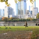 강변 뒷뜰 이미지