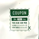 노마진펫스토어 - 천안시 동남구 신촌4로 25 | 강아지 관절사료 추천, 맞춤영양 설계된 닥터 프로 조인트 급여 후기