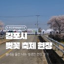 봄내음 | 김포 벚꽃 축제 | 봄내음 물씬 나는 현장 후기