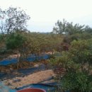 사곡리농장 이미지