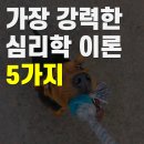 [강사·코치·컨설턴트 필독] 사람을 끌어당기고, 설득하고, 재구매하게 만드는 가장 강력한 심리학...