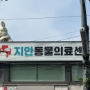 지안동물의료센터 이미지