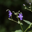 관음공원 네이버블로그