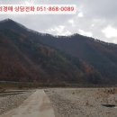 포항시북구91 이미지