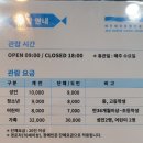 제주해양동물박물관 | 제주 아이랑 실내 가볼만한 곳 제주 해양 동물 박물관 후기