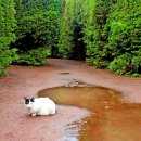 푸름공원 이미지