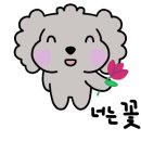 펫스튜리(petschurri) 이미지