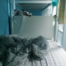 모정기사식당 | 홍콩 여행 ㅡ 2. 빅토리아 피크 ( Victoria Peak )