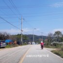 섬진로 이미지