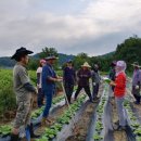 가족농원 이미지