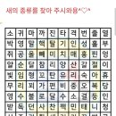 새 종류 찾기 이미지