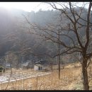 법수농원 이미지