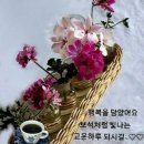 [ 출석부 ] 4월 23일 목요일 전북방 출석부 입니다. 이미지
