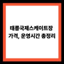 태릉국제스케이트장 티스토리