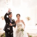 데이웨딩플랜