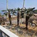 들꽃마을 펜션 이미지