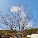 옥포대첩기념공원 이미지