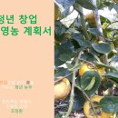 2024년 대비 미리 준비하는 청년후계농 청년창업농에 선정(합격)되기 위해서 준비 과정 총정리