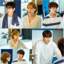 사랑스럽개 이미지