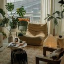 반려식물(홈가드닝) | 오늘부터 우리 집도 숲세권! 플랜테리어 싱그러운 홈가드닝 반려식물인테리어