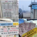 당진 대난지도국민여가캠핑장 도비도항 배타는법 낚시정보