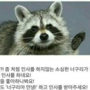 홍두깨 이미지