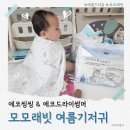 씽씽 | 여름낮밤 기저귀 추천! 모모래빗 에코씽씽·에코드라이썸머 후기