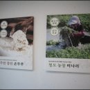 장인칼국수 이미지