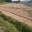 동량면사무소 이미지