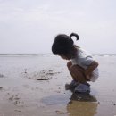태안 아이랑 여행｜아이랜드 키즈풀빌라 후기, 꽃지해수욕장·만리포해수욕장까지
