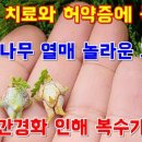 영등포좋은나무 이미지