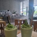 삼일아카데미 재무회계와 세무기초 수업 후기