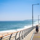 국토종주자전거길1-203 이미지