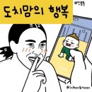 도그 포레스트 네이버블로그