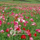 한경대학교부속농장 이미지