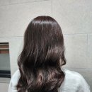 쌍용(아) 이미지