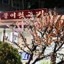 똘이뒷고기