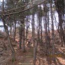 도신대교