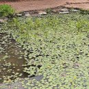 진서농장 이미지