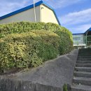 영인면 아산호로 이미지